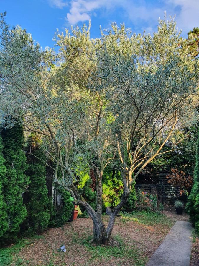 Cypress Garden Leilighet Portorož Eksteriør bilde
