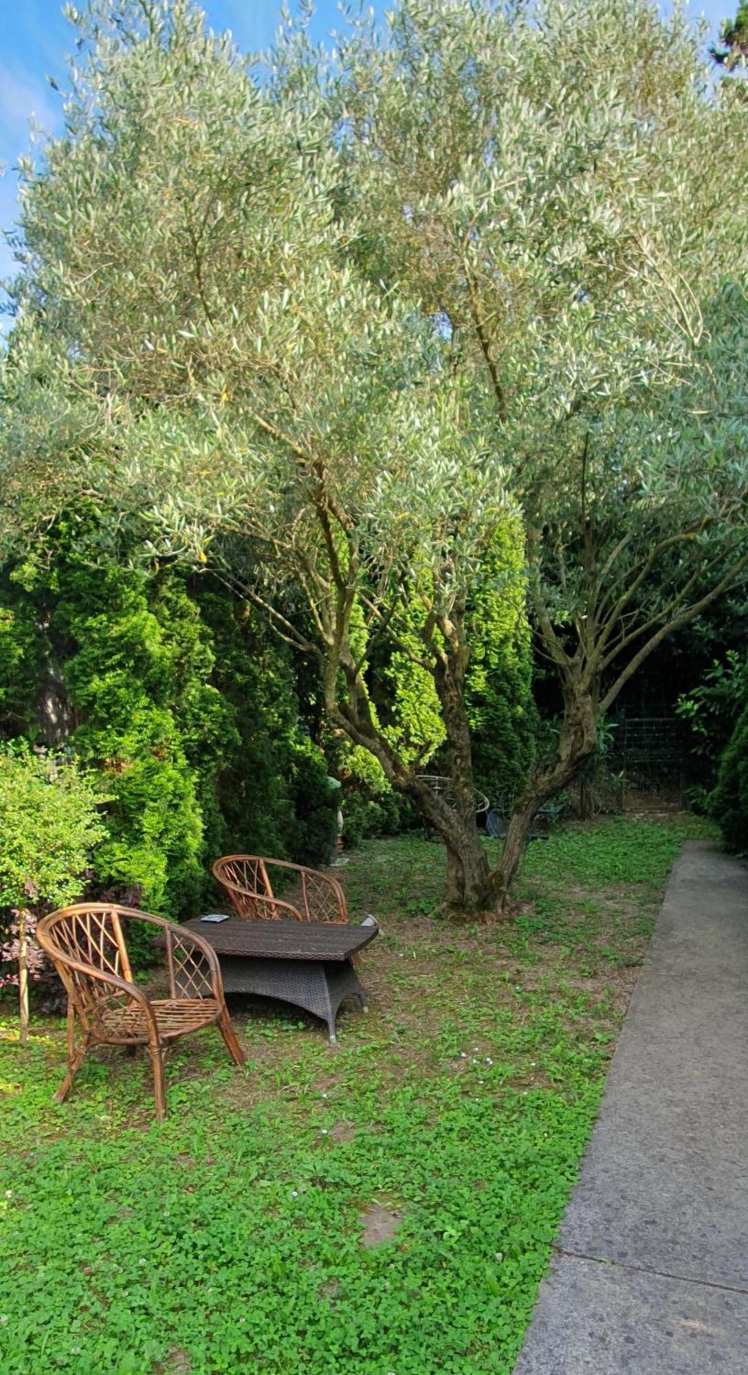 Cypress Garden Leilighet Portorož Eksteriør bilde
